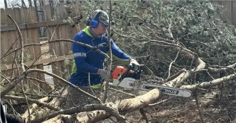 An arborist is trimming a tree in Southern Maryland ahead of hurricane season